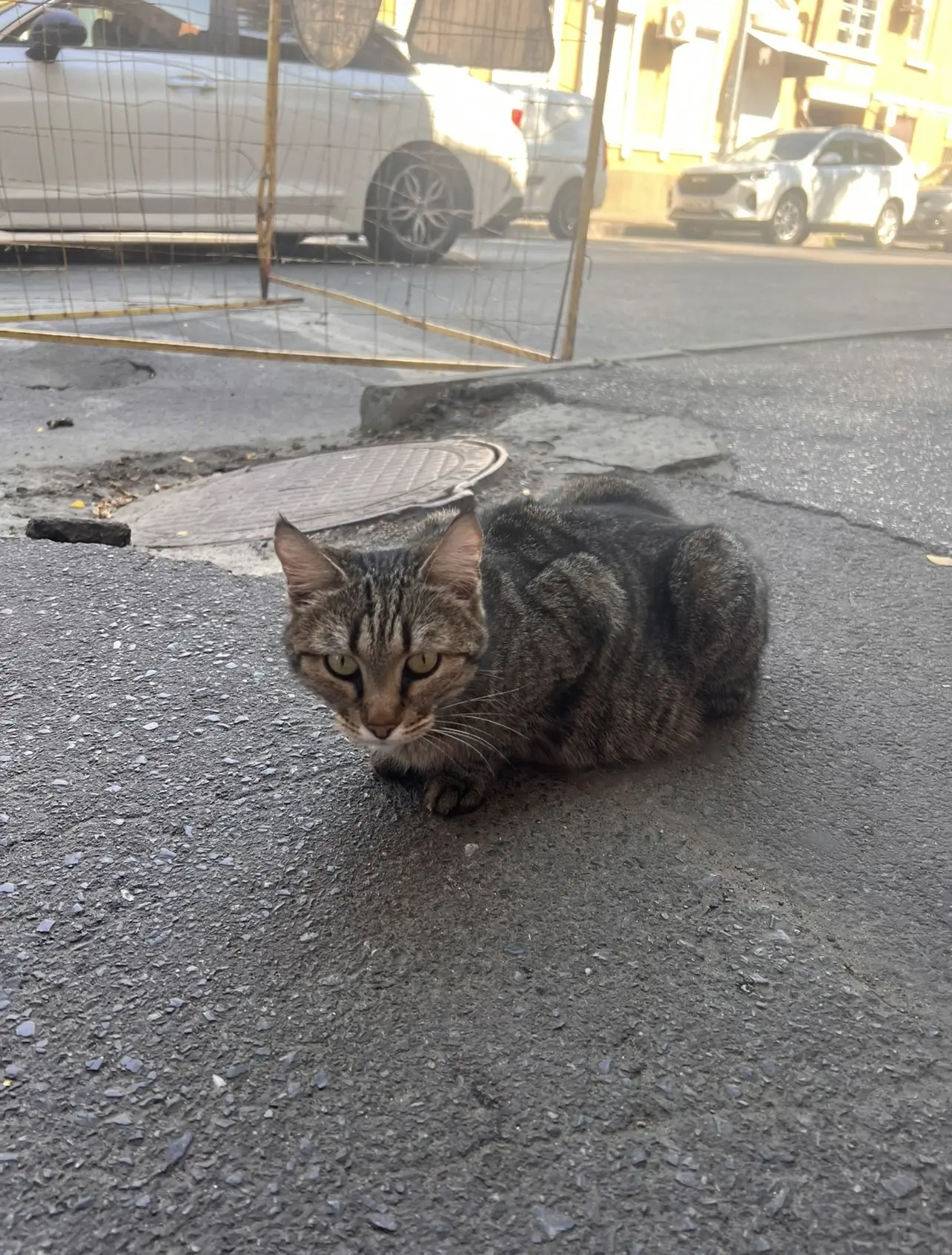 ДонКоТ