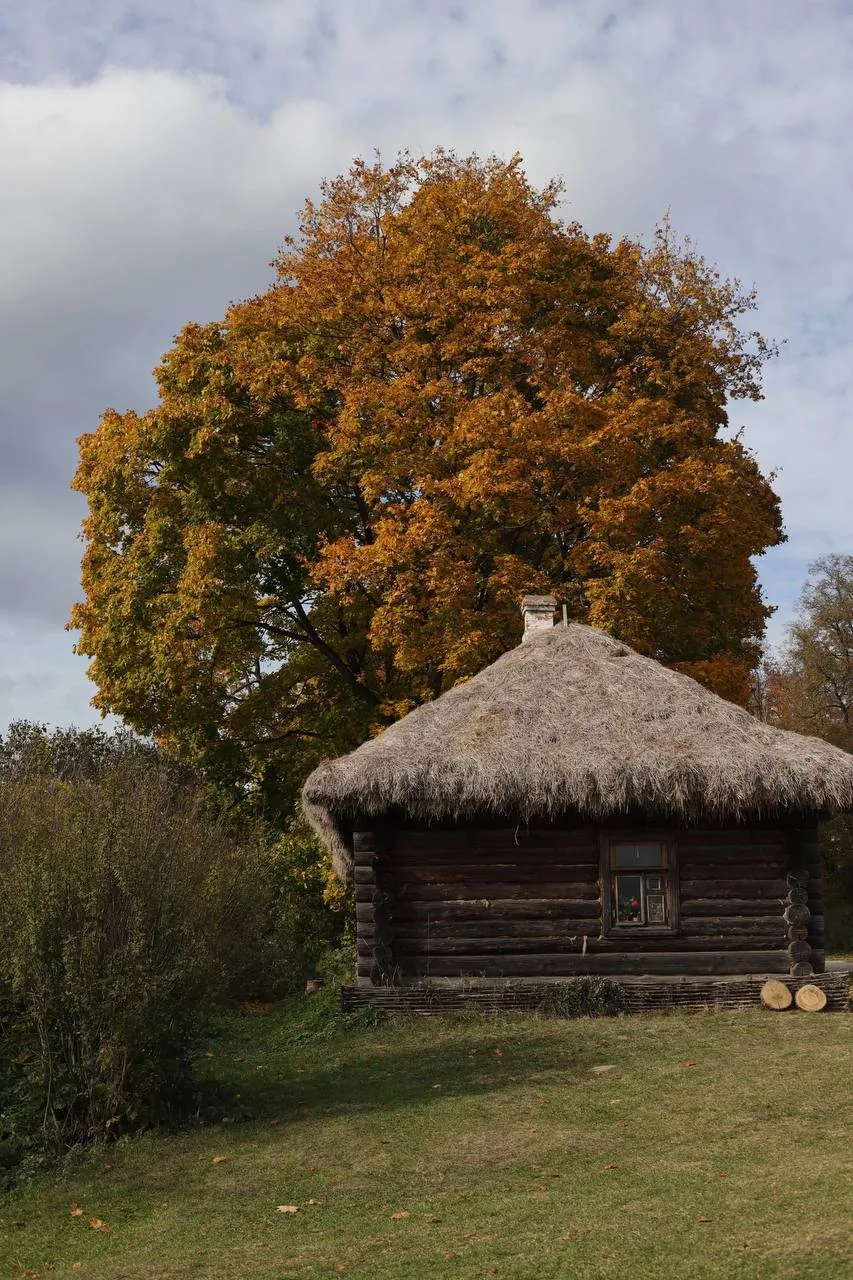 Рязанская область в красках осени.