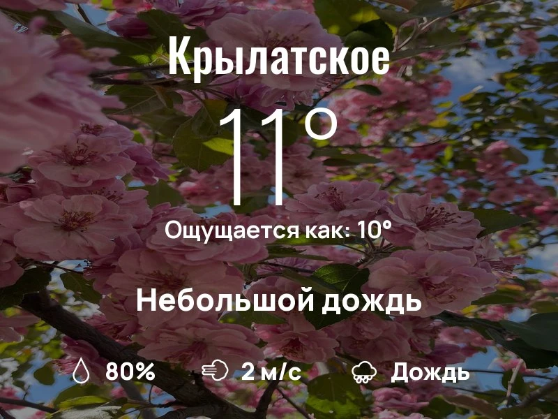 Что с погодой в Крылатском?