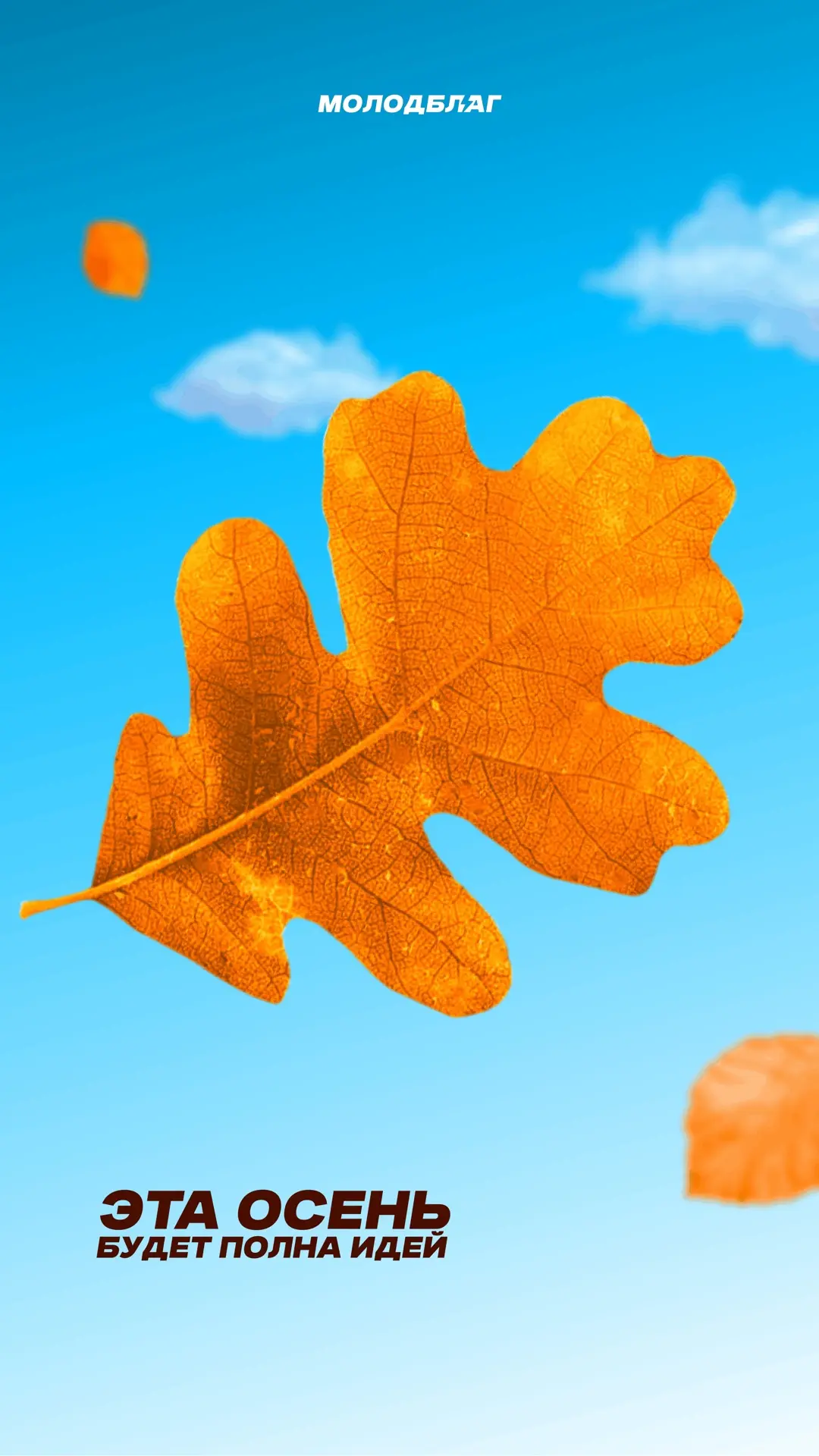 🍁Половина осени почти прошла!