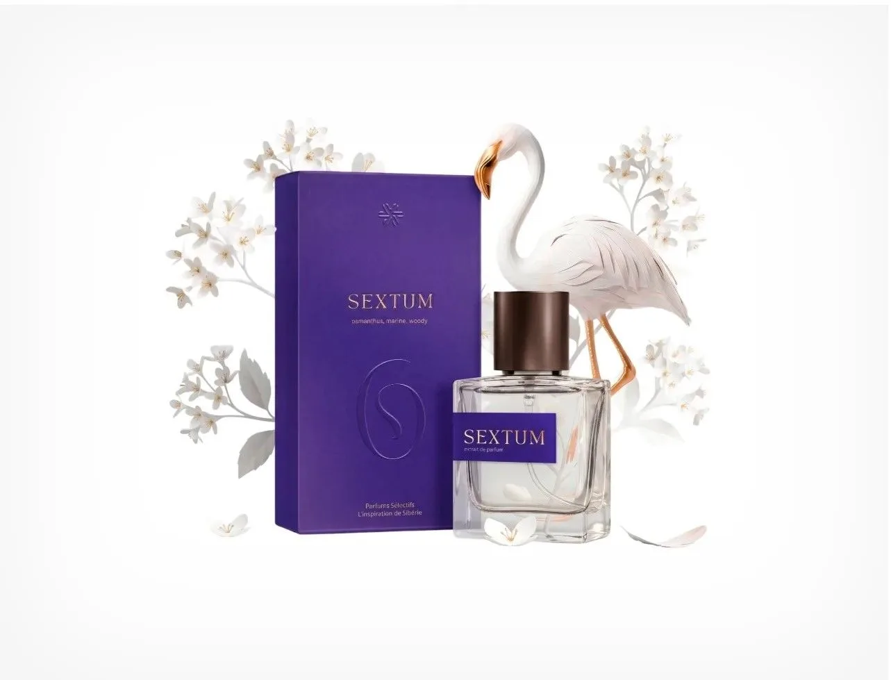 6 SEXTUM
