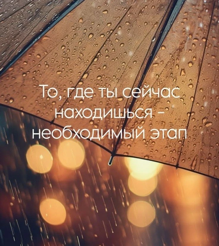 Мысль дня...👆
