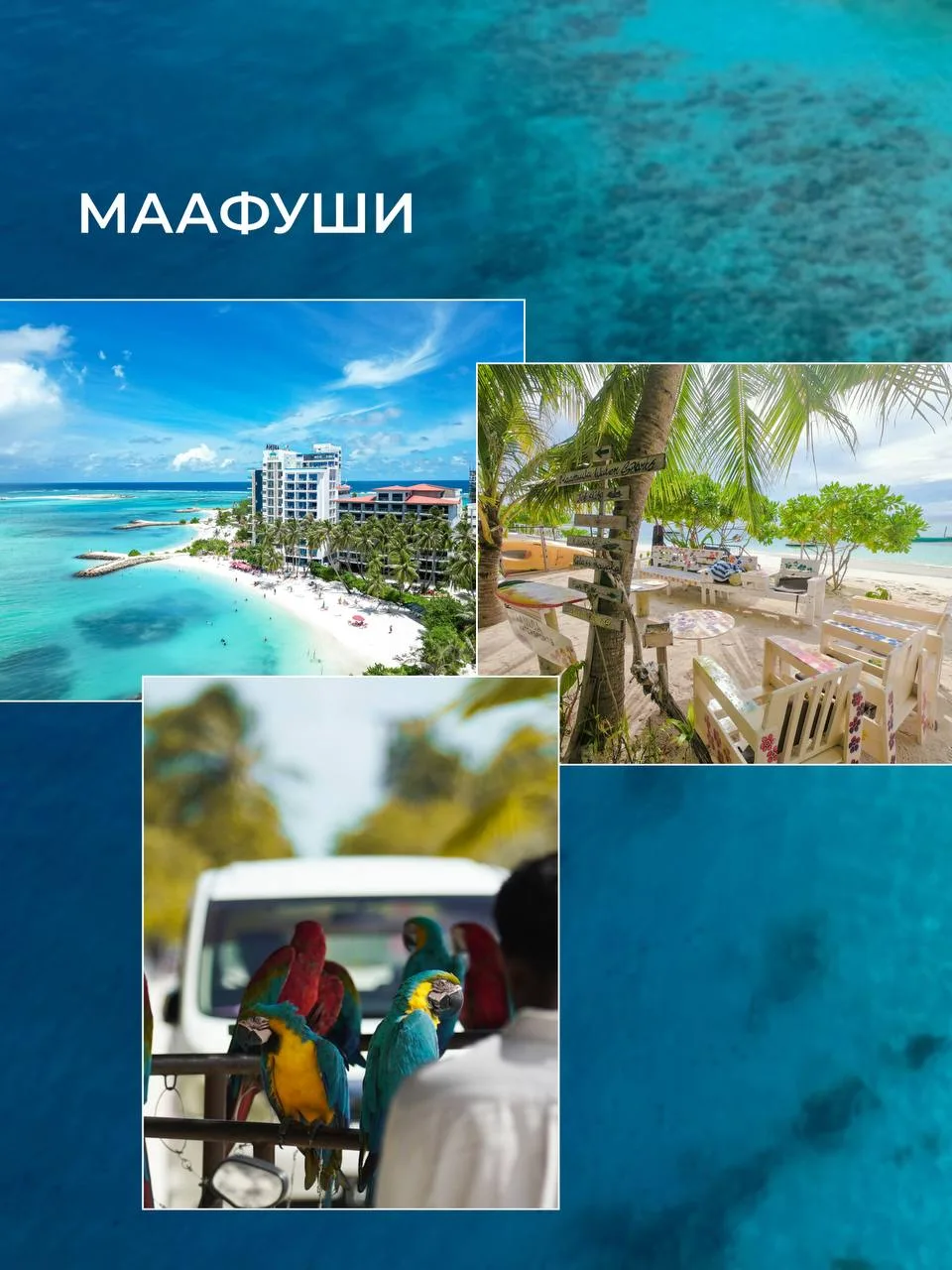 Так ли страшны локальные острова на Мальдивах?🏝️🫣