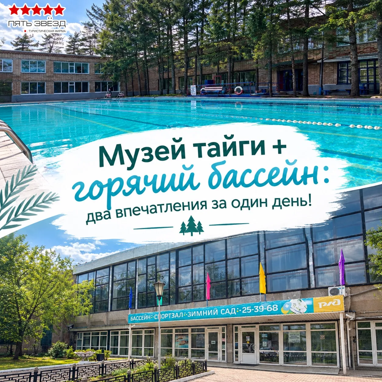 🐅 Музей тайги + горячий бассейн: два впечатления за один день!