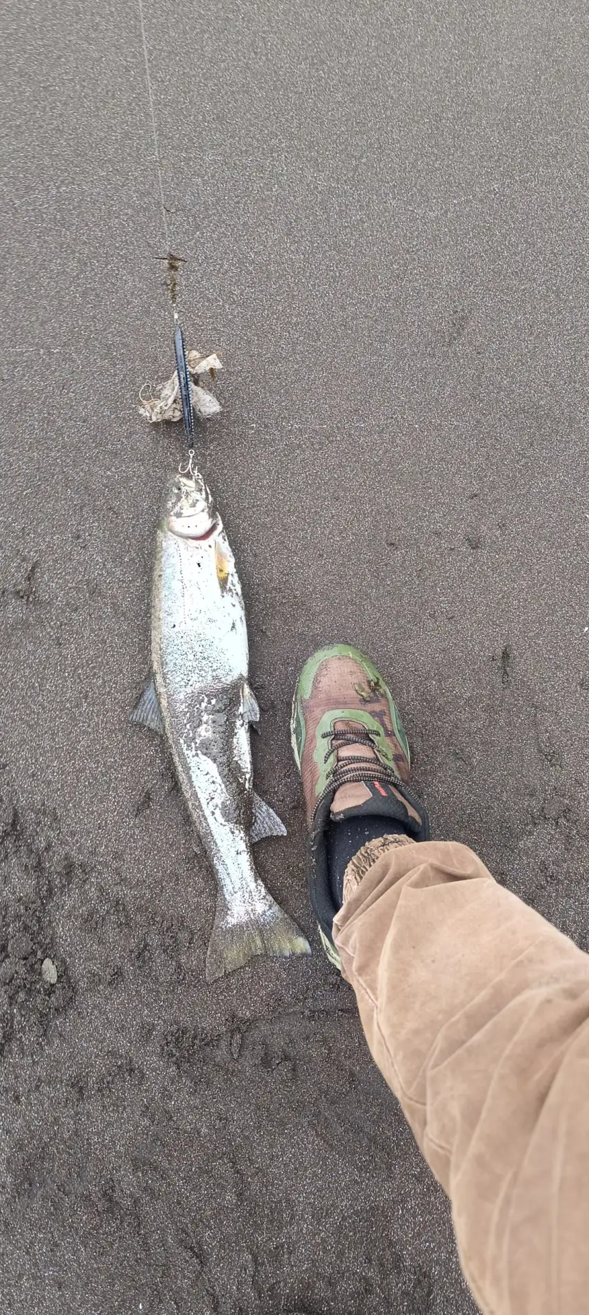 🎣 Отчет нашего подписчика