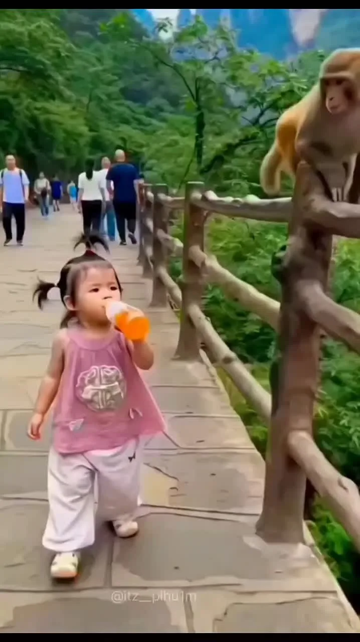 Видео: https://vk.ru/clip-59717399_456241064
