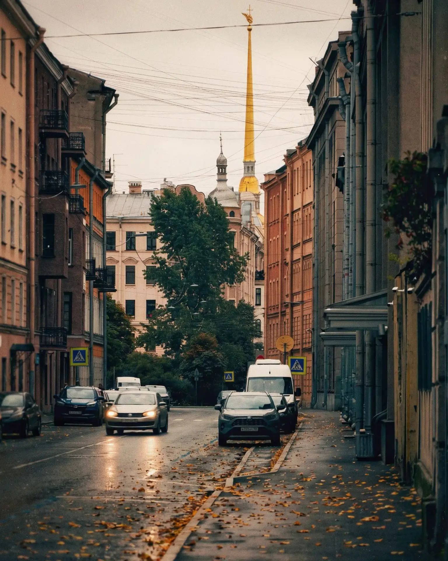 Осень и дождь в Петербурге 🍂