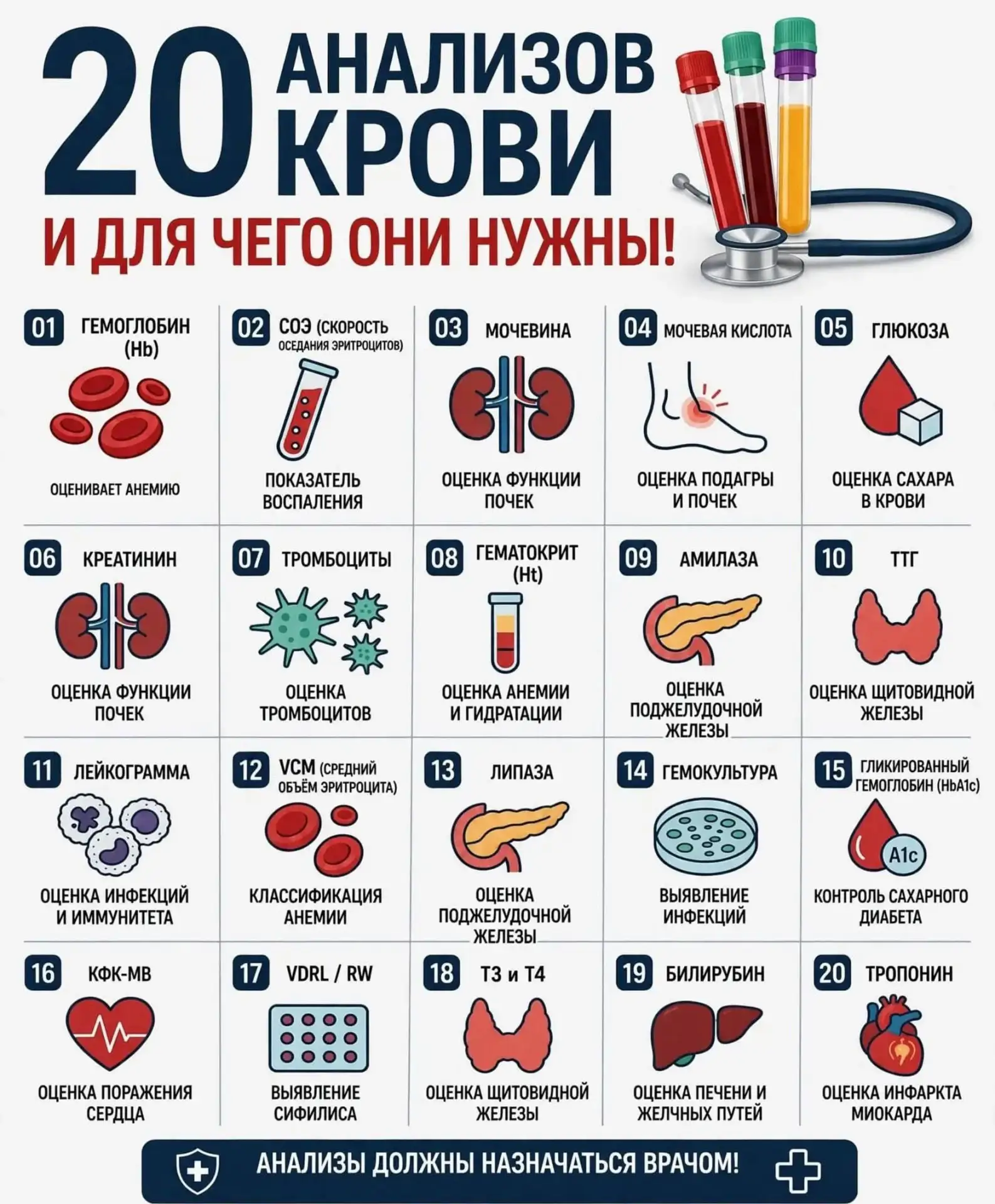 анализов крови и для чего они нужны!