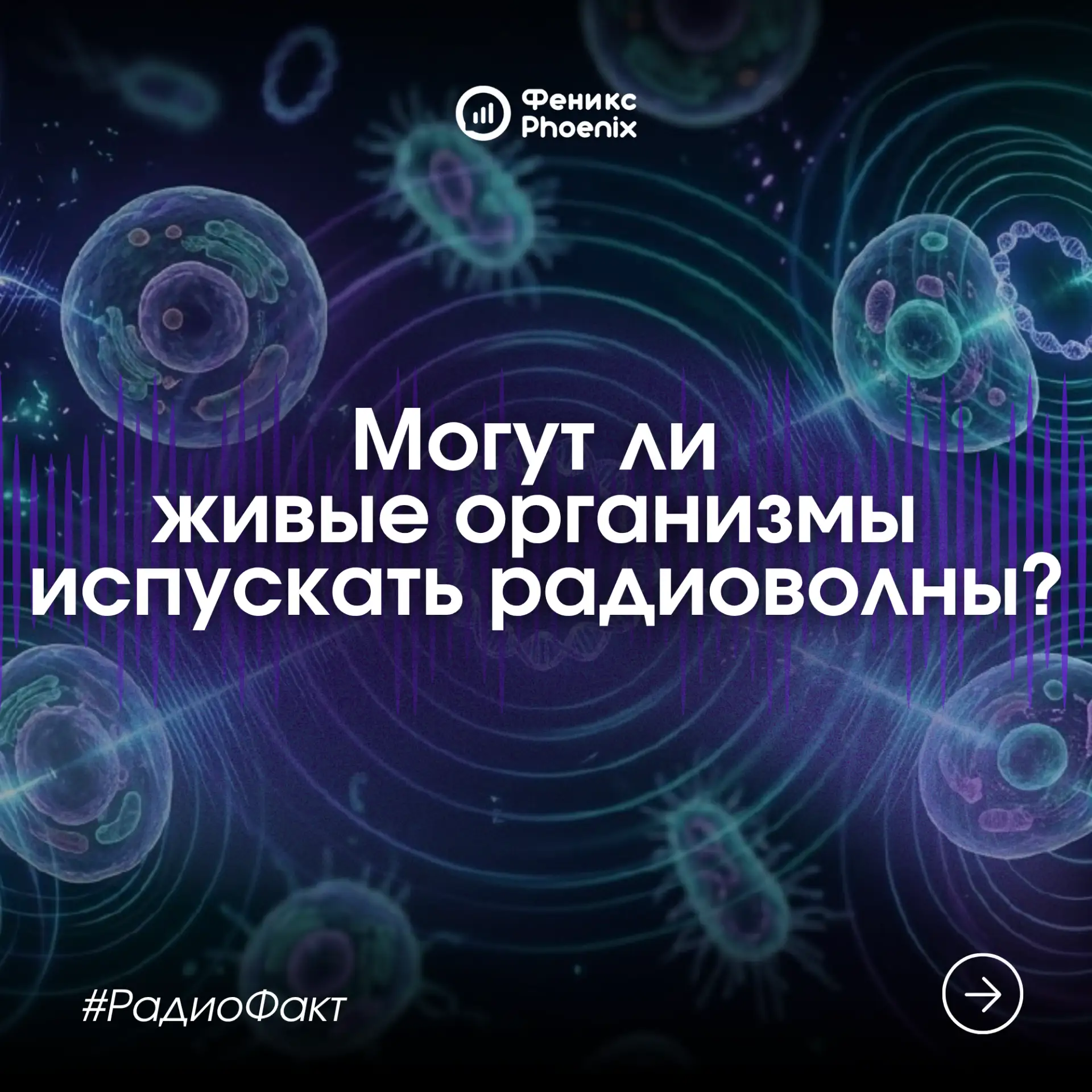Могут ли живые организмы испускать радиоволны? Идея кажется абсурдной: в природе такое ...
