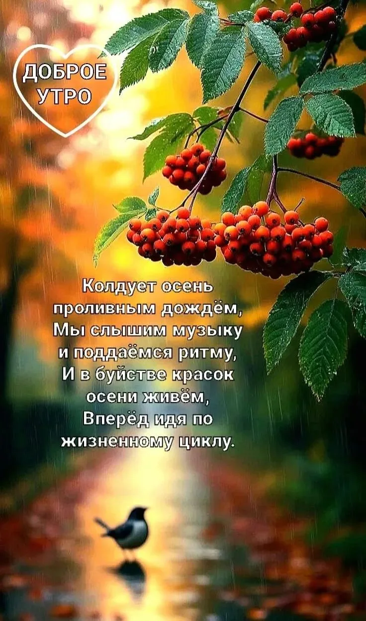 🌿Доброе утро.