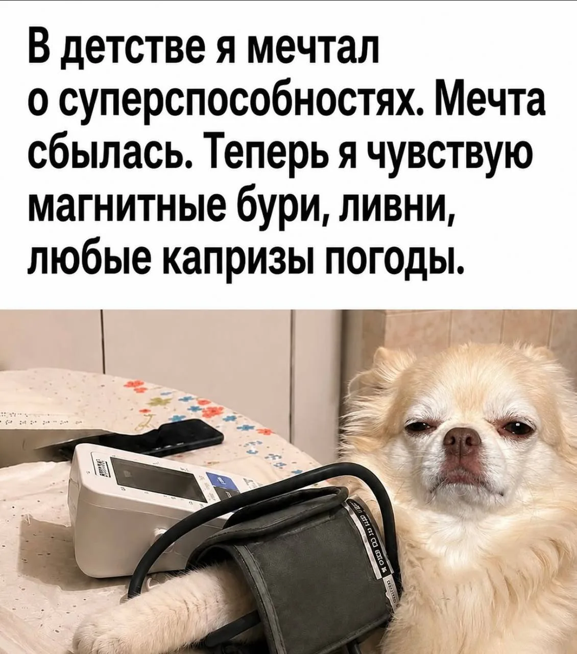 Мем дня