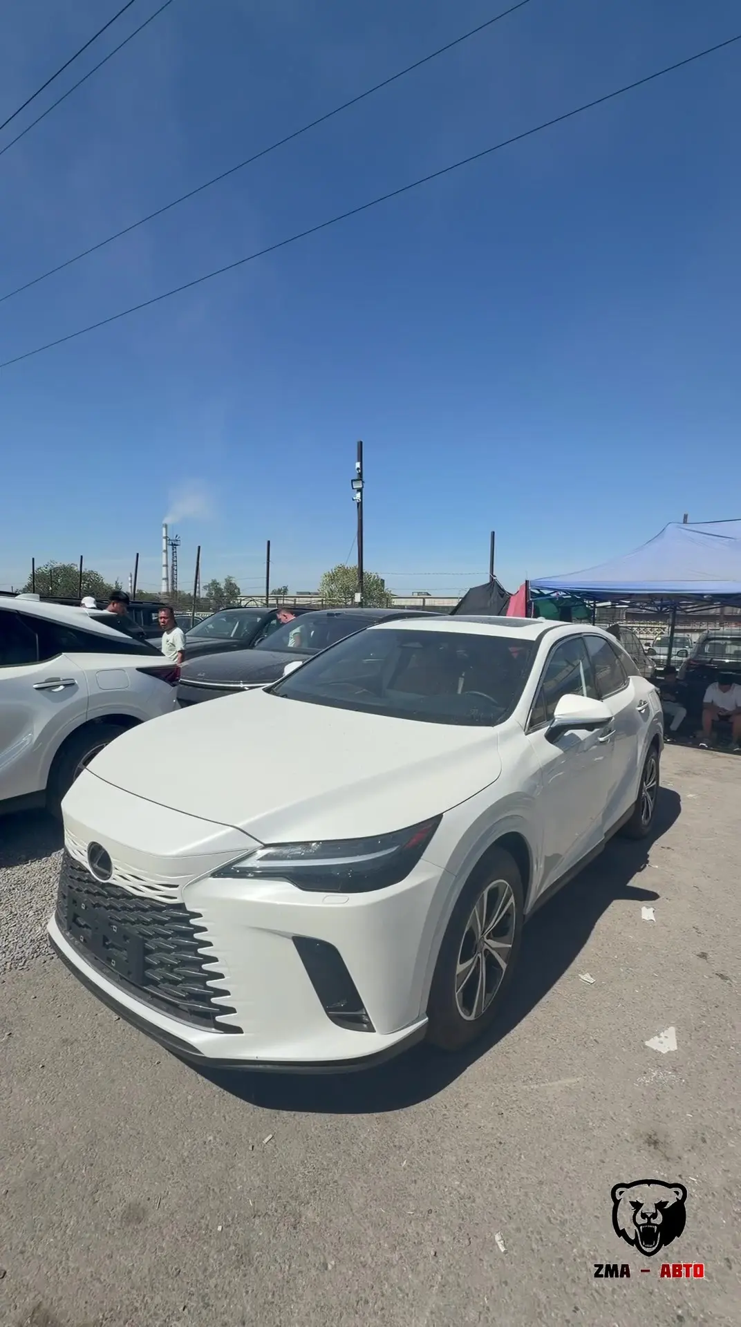 🚘 Lexus RX 300