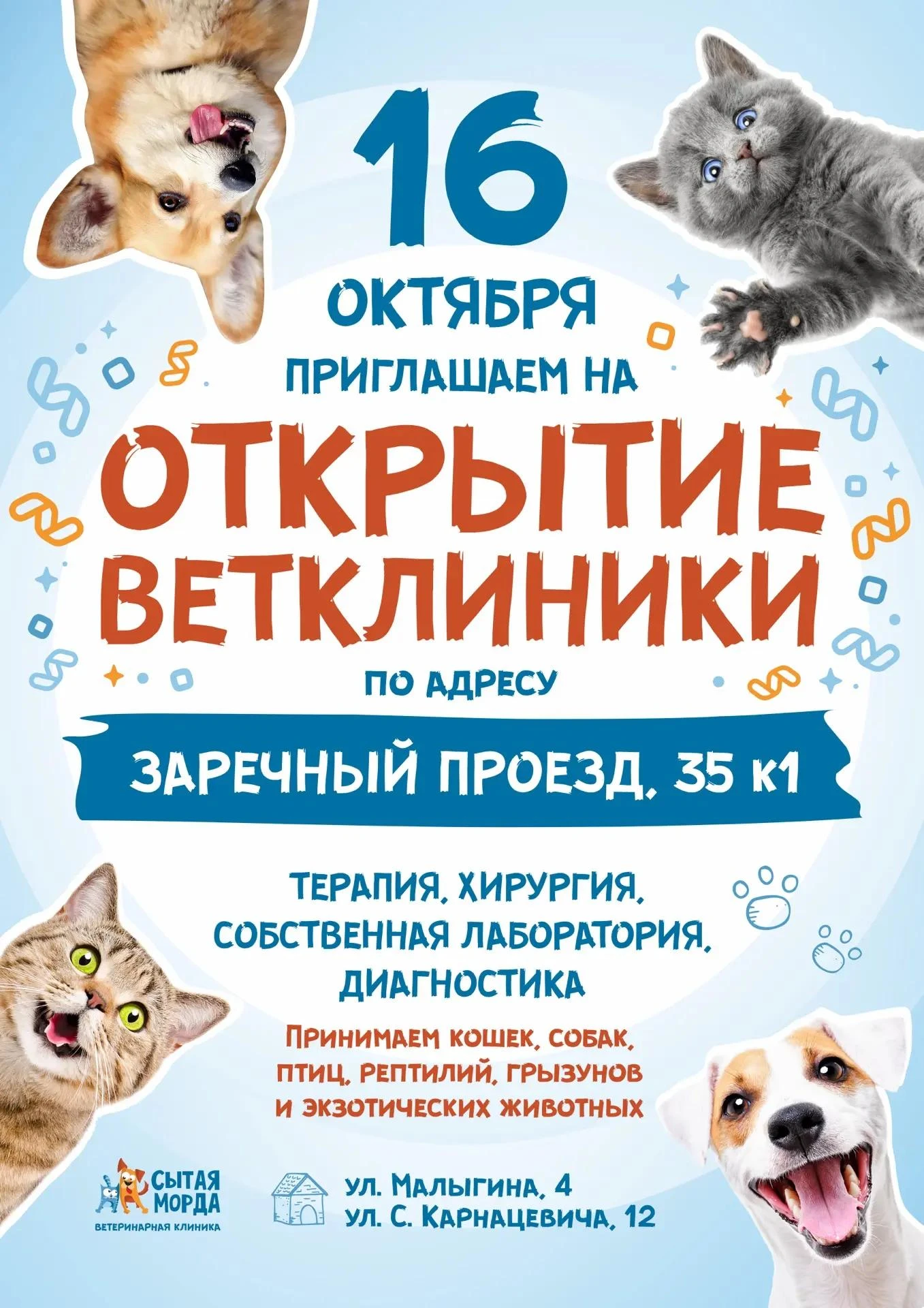 🎉 16 октября открытие 3-го филиала «Сытая морда» в Тюмени!