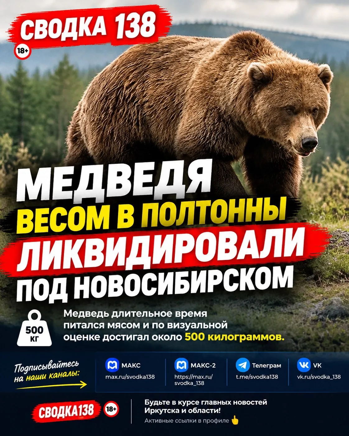 Медведя весом в полтонны ликвидировали под Новосибирском
