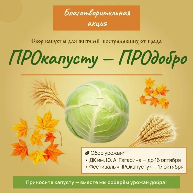 «ПРОкапусту — ПРОдобро»: СОБЕРЁМ УРОЖАЙ ДОБРА ВМЕСТЕ! 🥬❤️