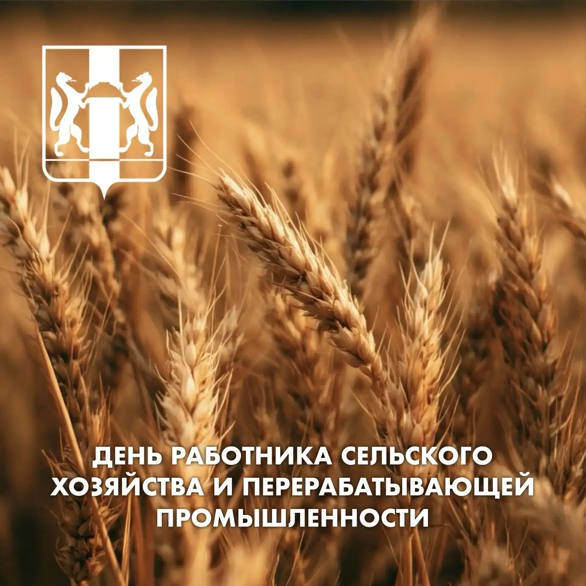 Поздравление губернатора с днем работника сельского хозяйства и перерабатывающей промыш...
