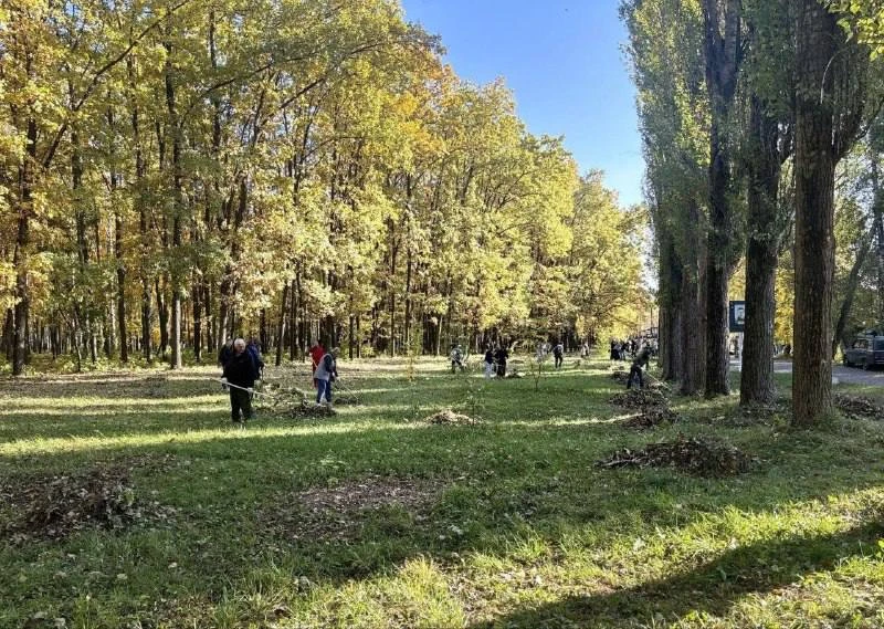 🍂 В Семилуках провели масштабный субботник в парке «Юбилейный» площадью более 12 гекта...