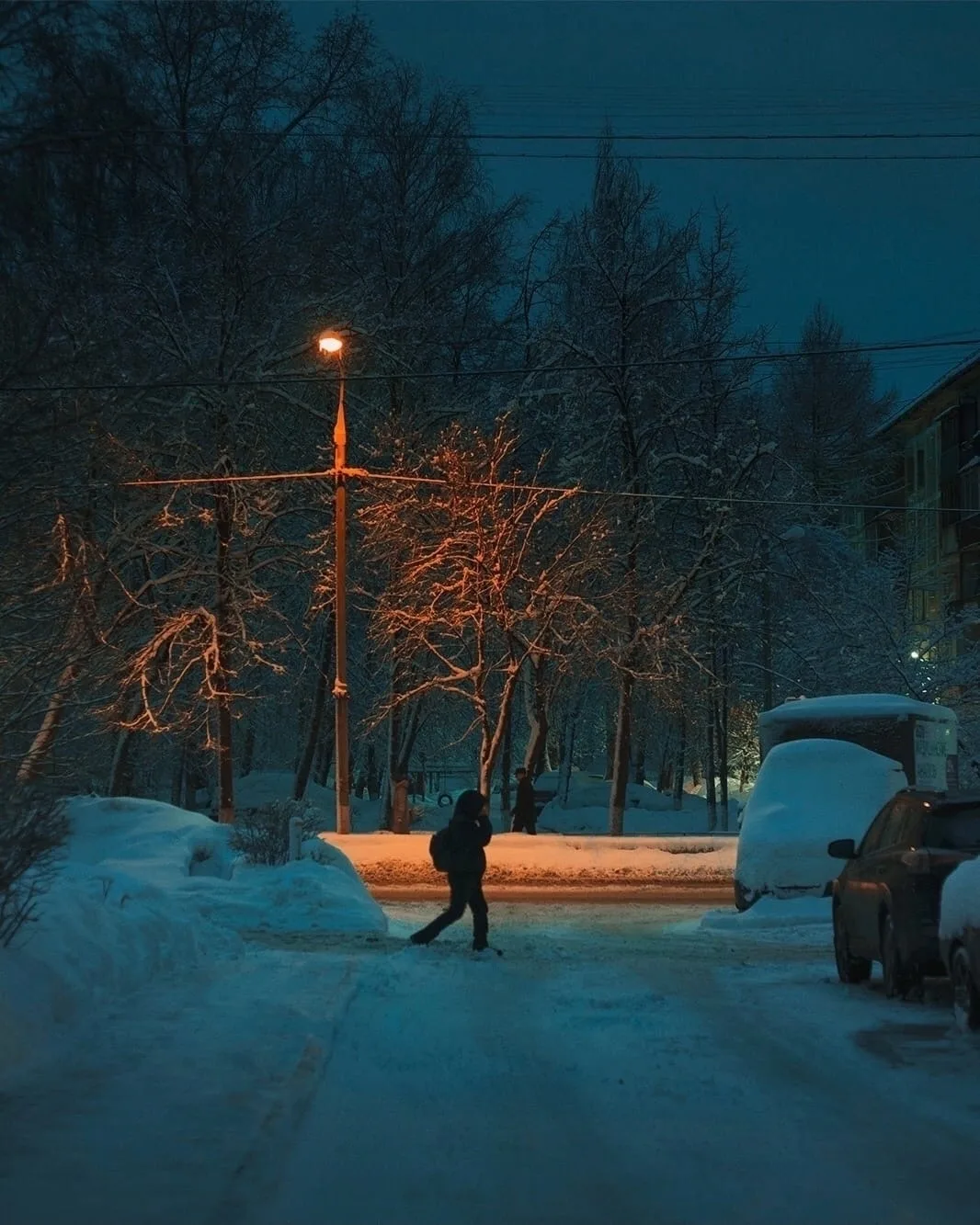 Совсем скоро в каждом дворе.