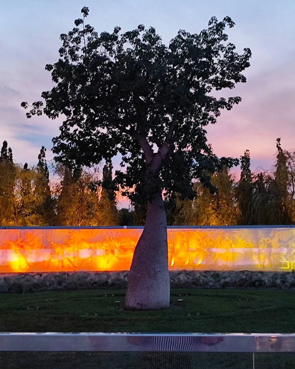 Парк начинает готовиться к зиме 🌳🧤 Доброго вечера, друзья!