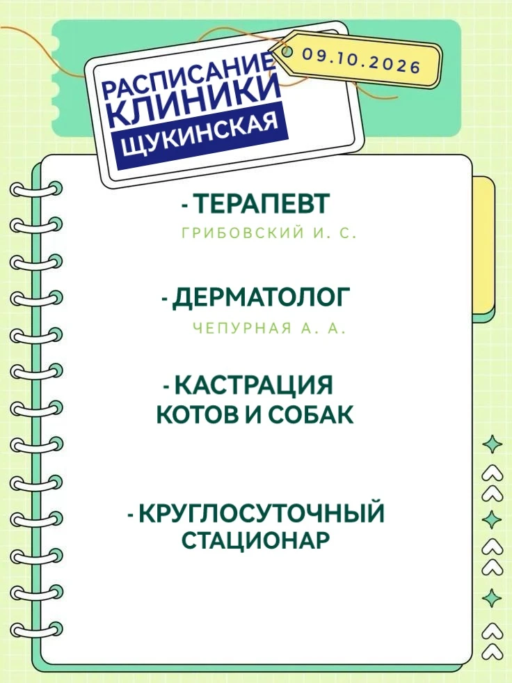 Приглашаем вас ознакомиться с нашим расписанием 💕