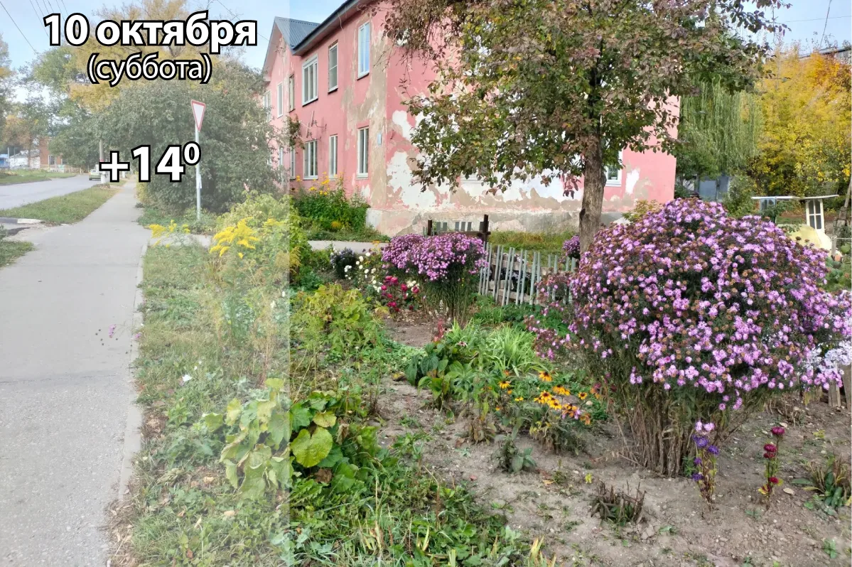 🌧️ 10 октября: погода в Киреевском районе и народные приметы дня​