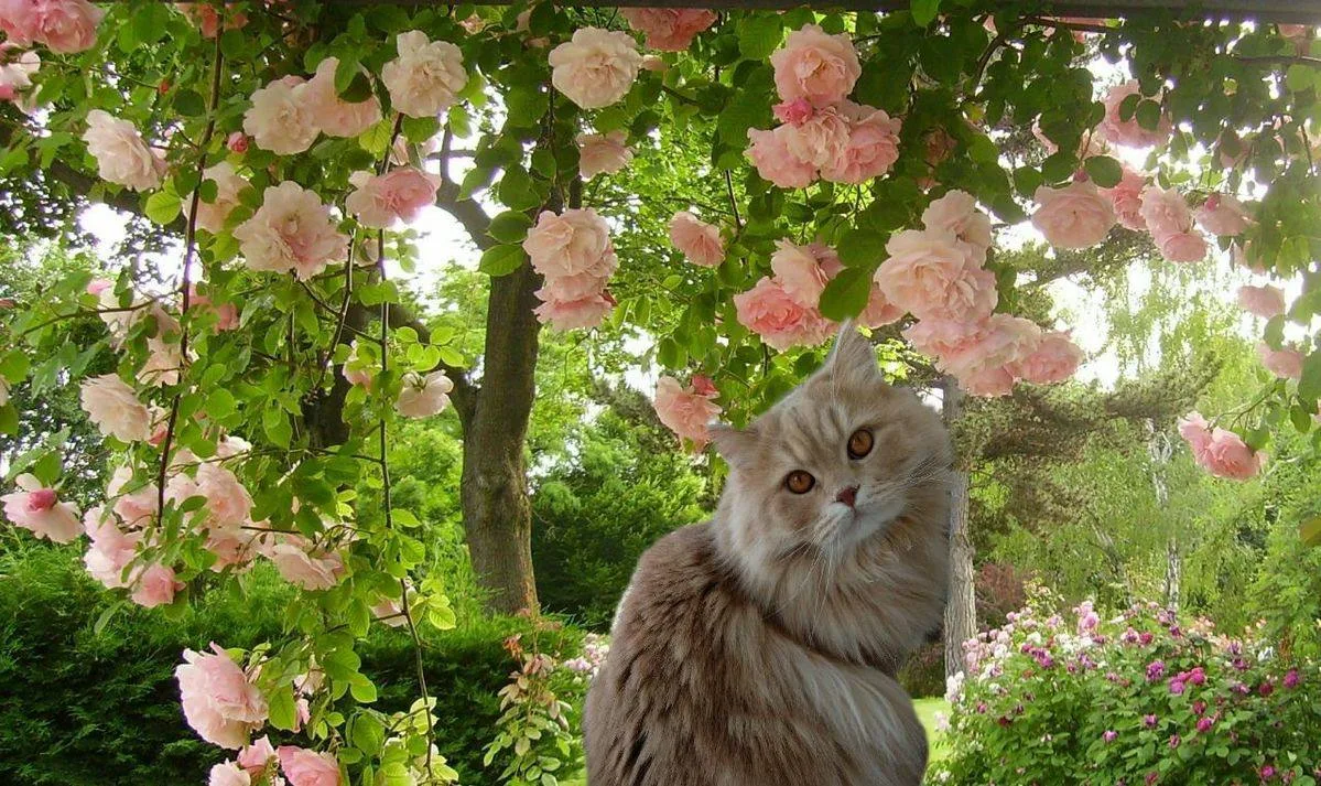 🌿 С добрым утром!