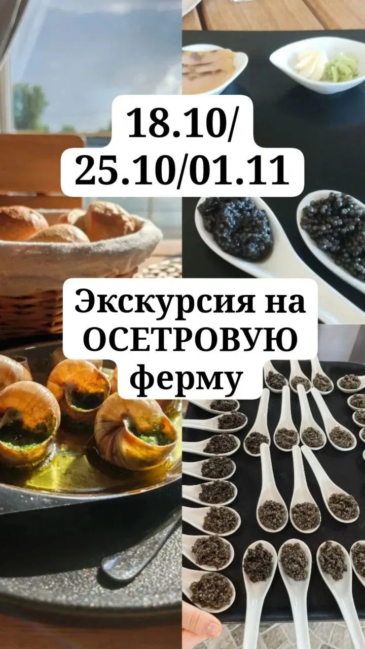 Калининградцев и гостей города приглашают на новую экскурсию «Икра, улитки, осетрина» с...