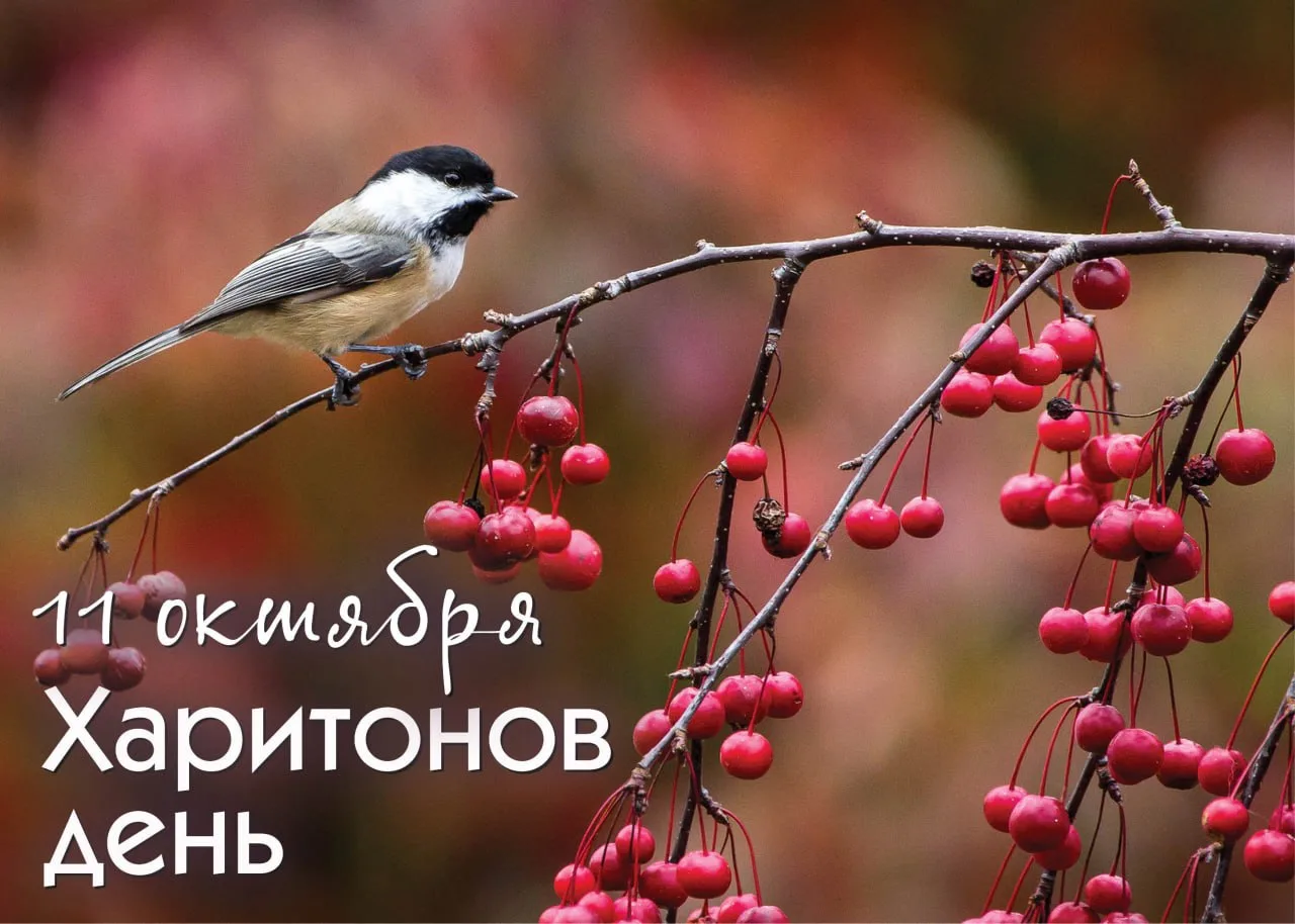 Народный календарь