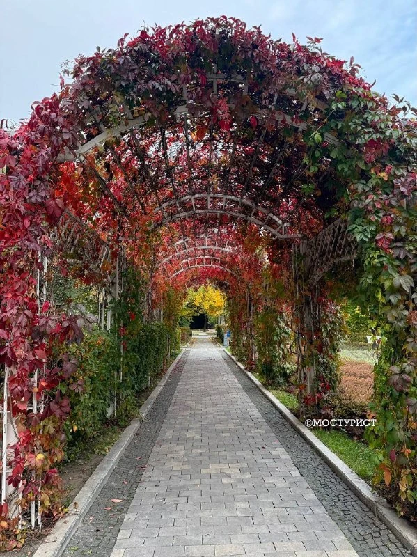 🍂 Заглянем в осенний Сад имени Баумана