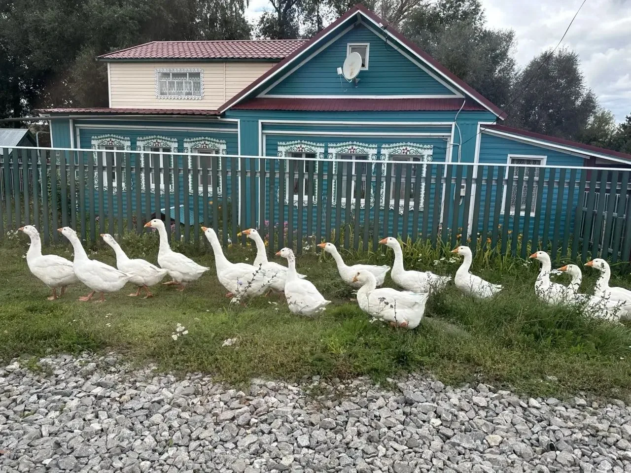 🏡 Авылда яшәүчеләр өчен мөмкинлекләр