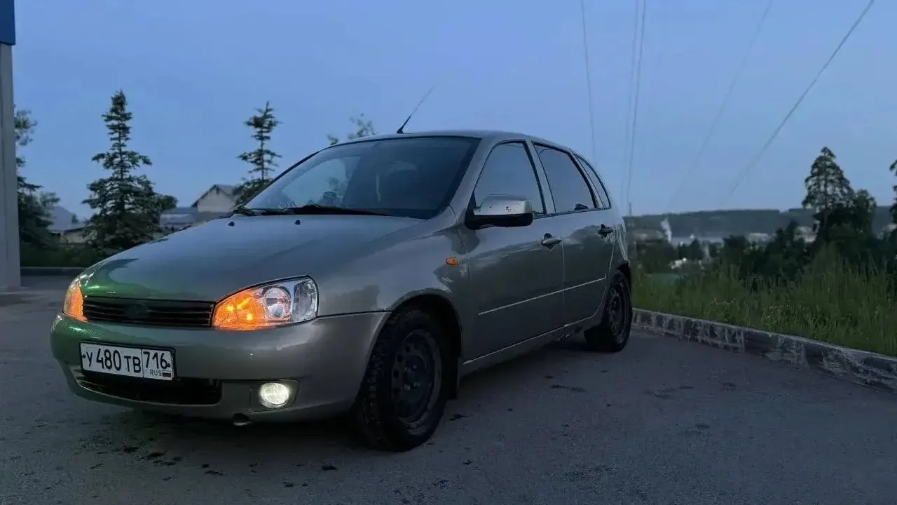 Калина 2012 год
