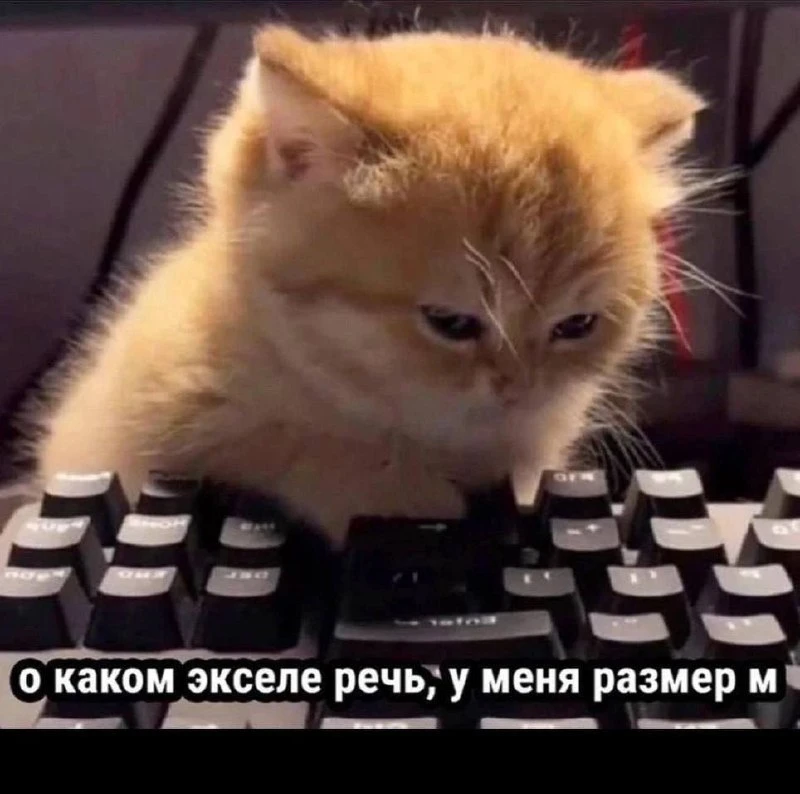 Уже завтра