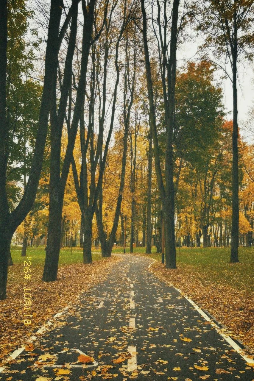 Облачно, возможны дожди и до +11° ожидаются сегодня в Щёлково 🌧️