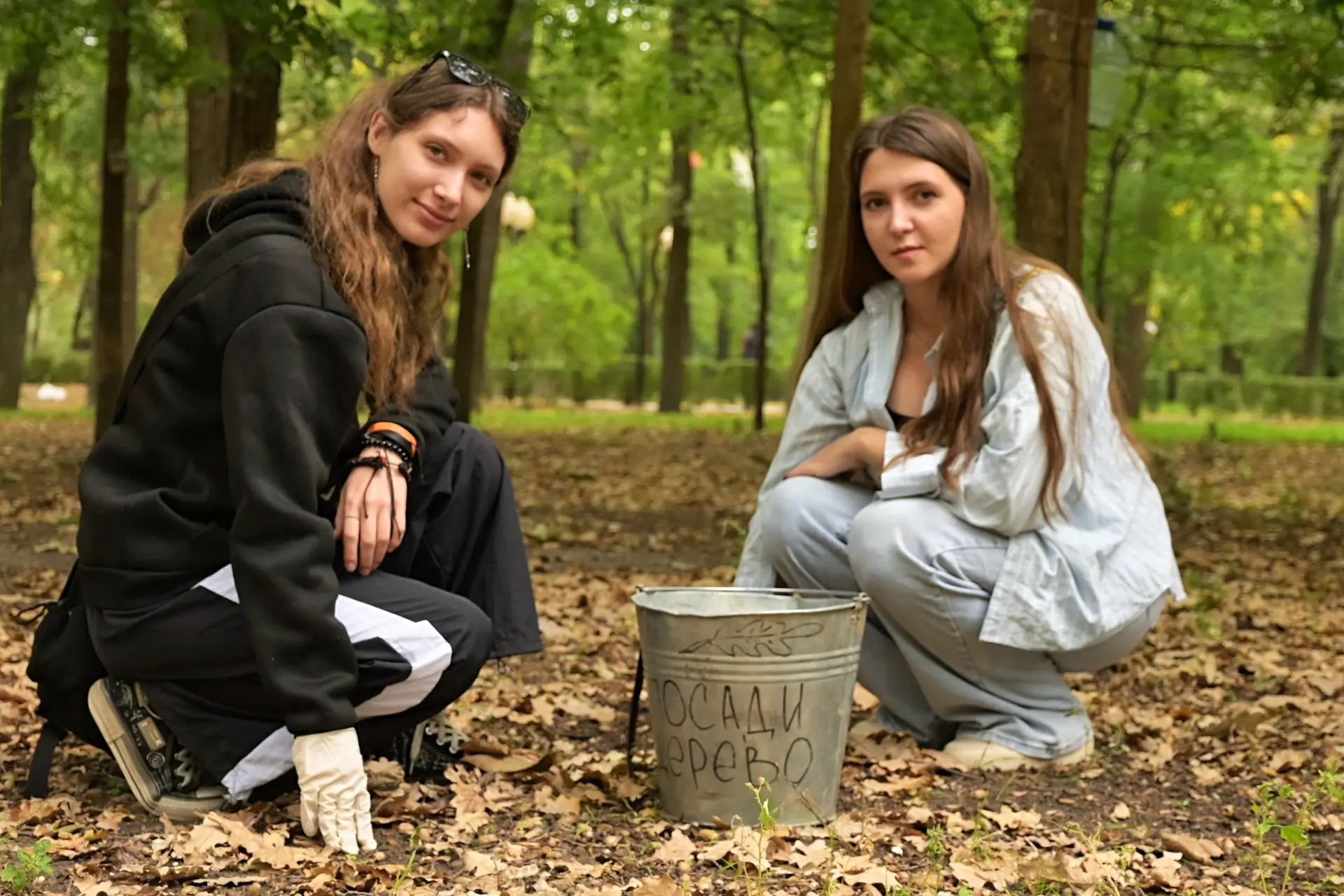 🌳 Мелитопольский госуниверситет участвует в федеральном проекте «Сохранение лесов»
