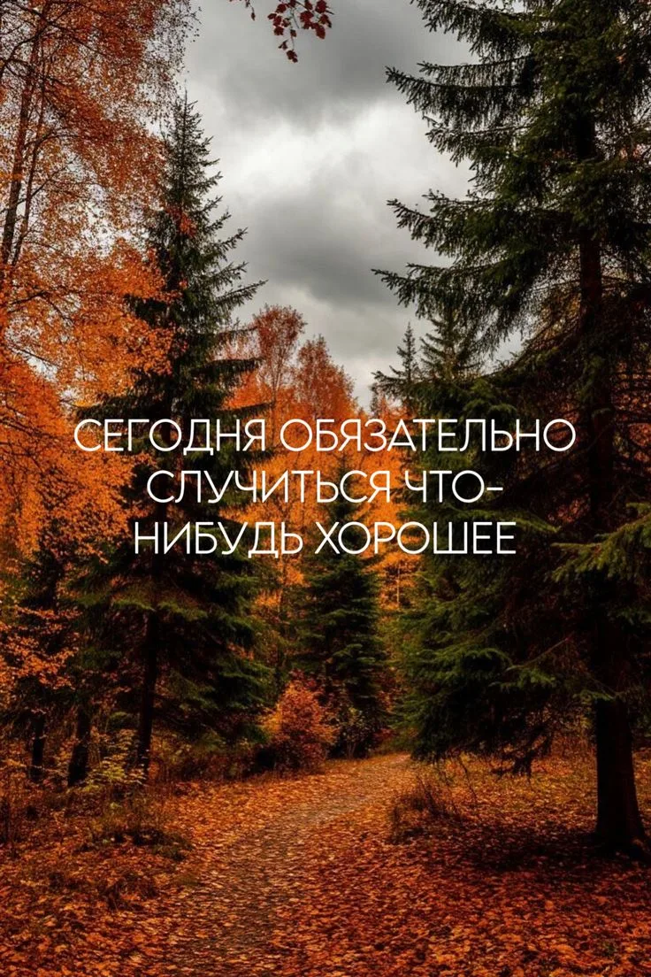 От вас не требуется в точности предвидеть, как всё случится, - всё, что от вас требуетс...