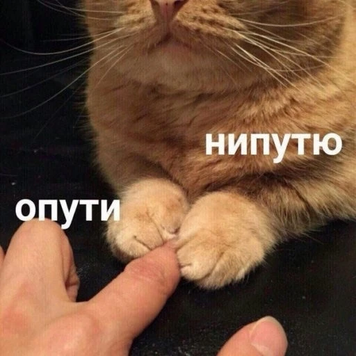 Когда подаёшь начальнику заявление на отпуск.