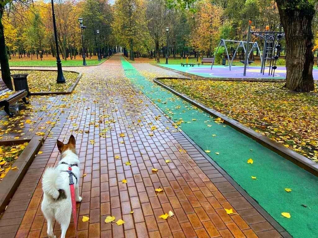 Пасмурное утро в сквере Девичьего поля ❤