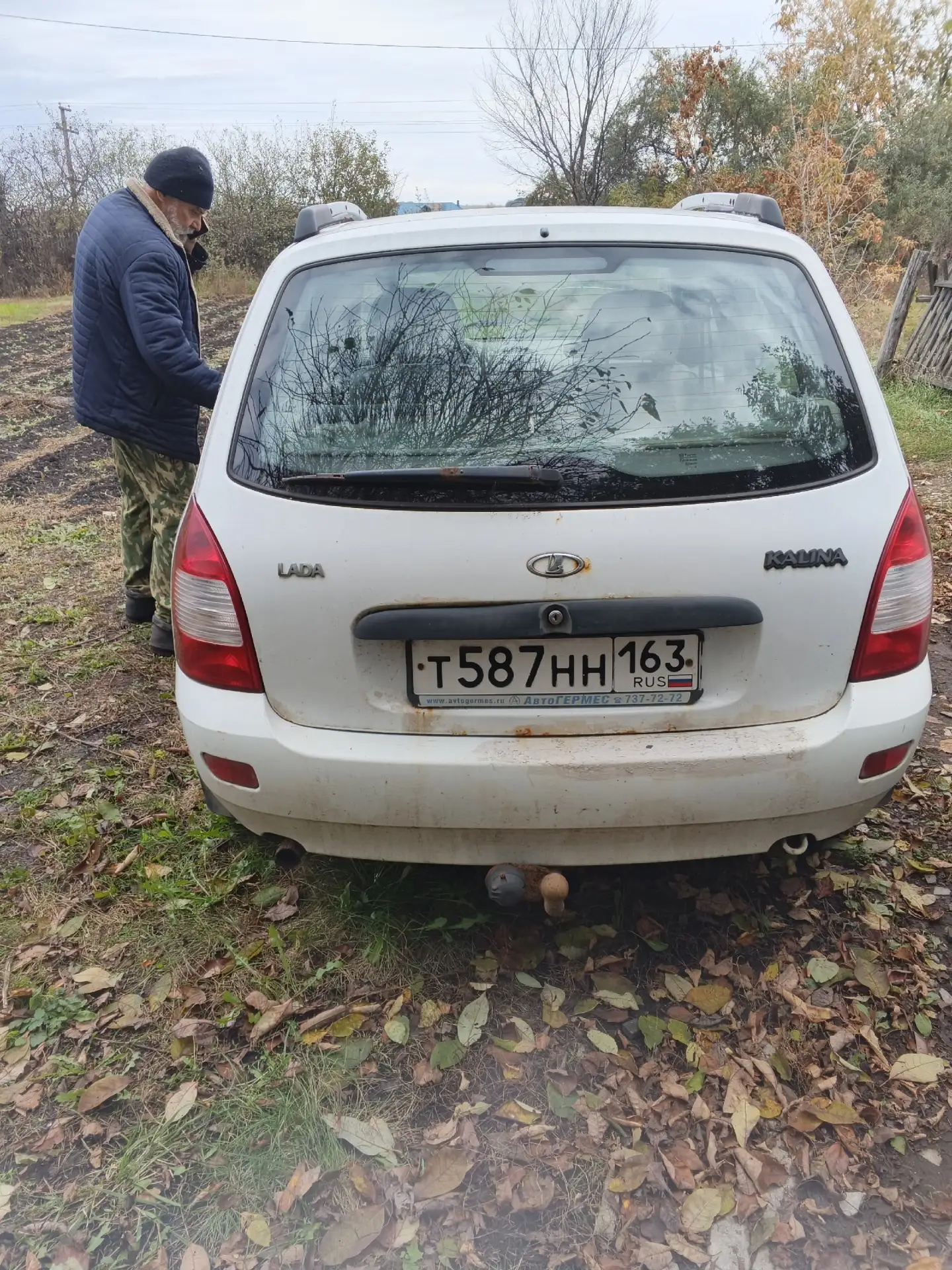 Продам калину 9 год