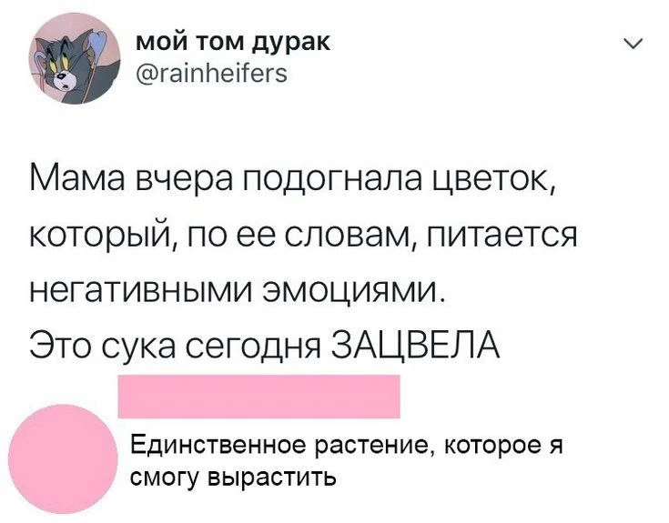 👉 👈