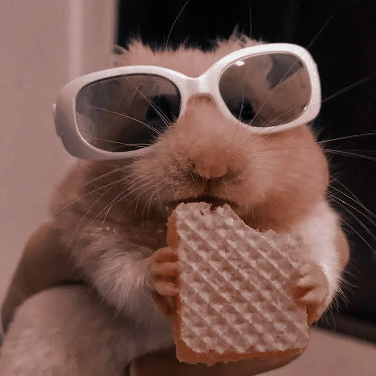 🐹 Маленькие красавчики