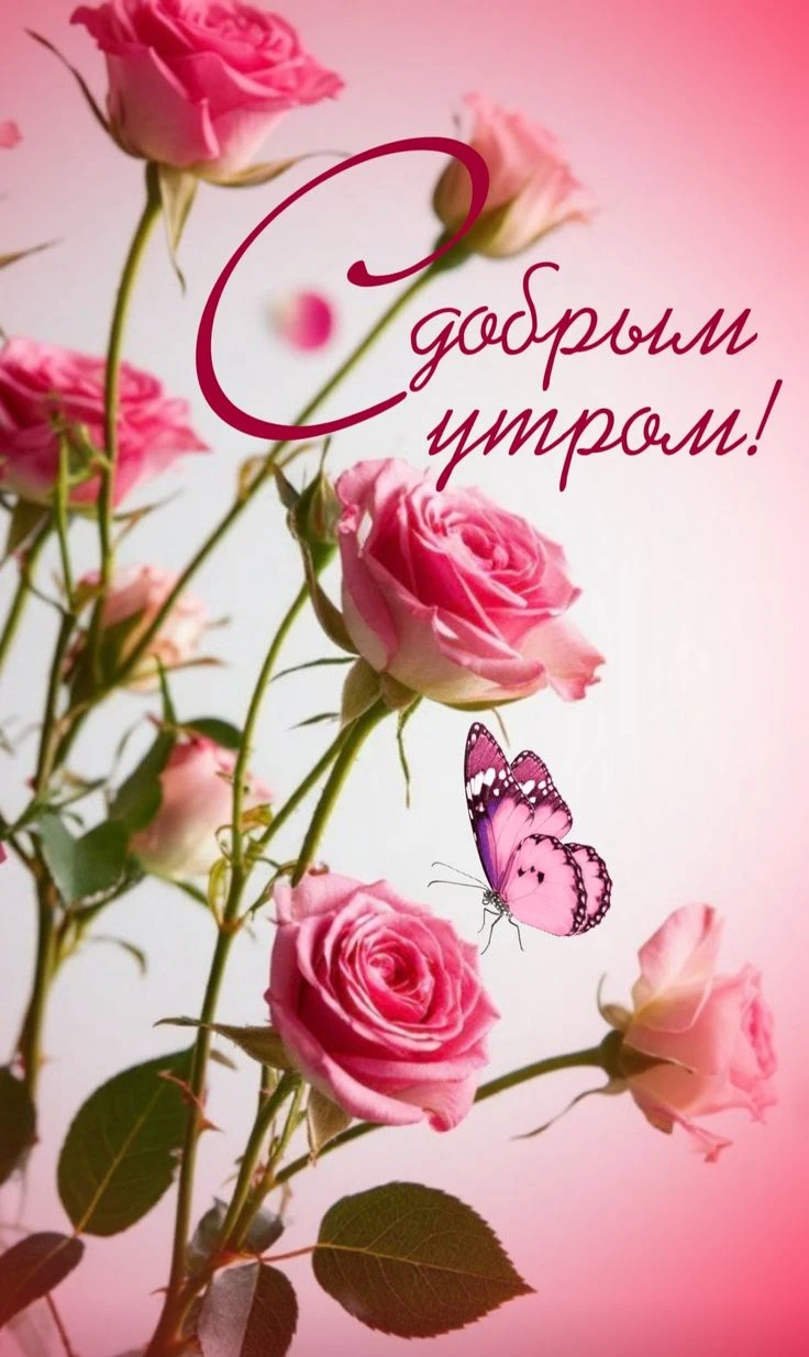 Подпишись 👇