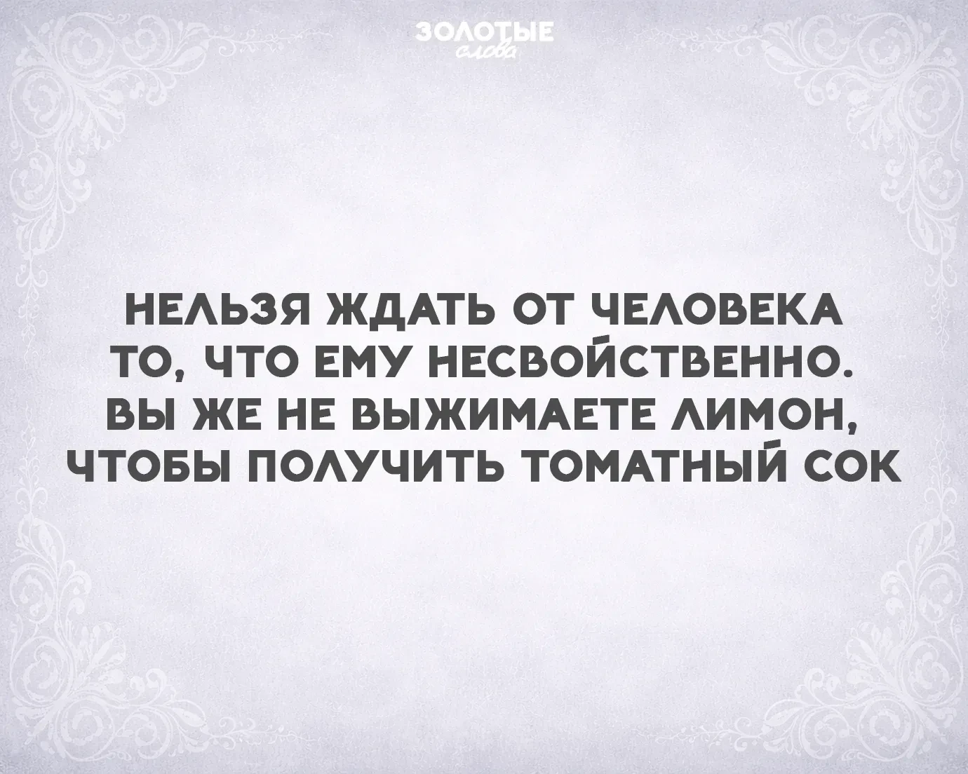 Золотые слова 📜