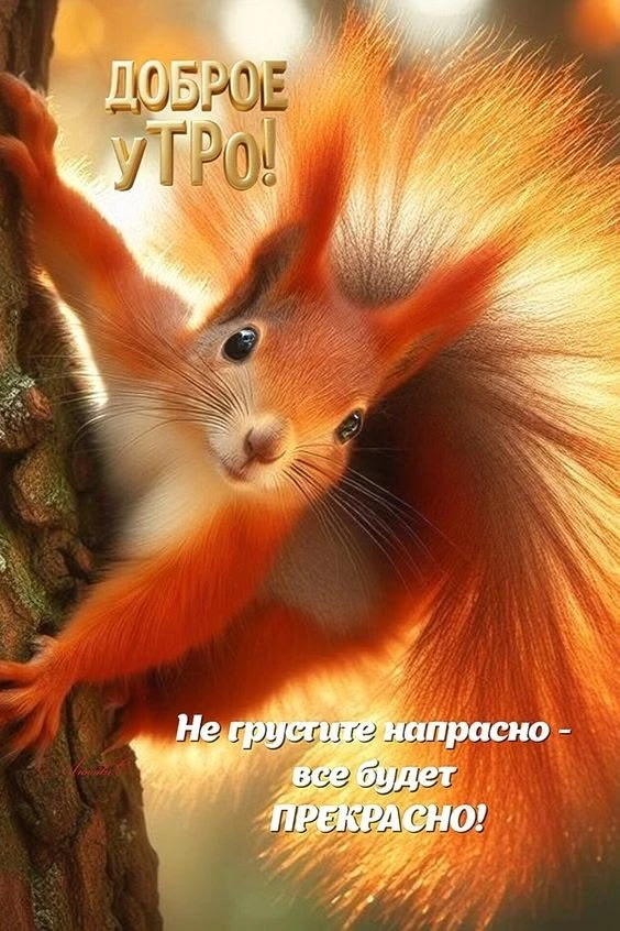 Позитивные открытки каждое утро ТУТ 👉@otkritkipozdrav