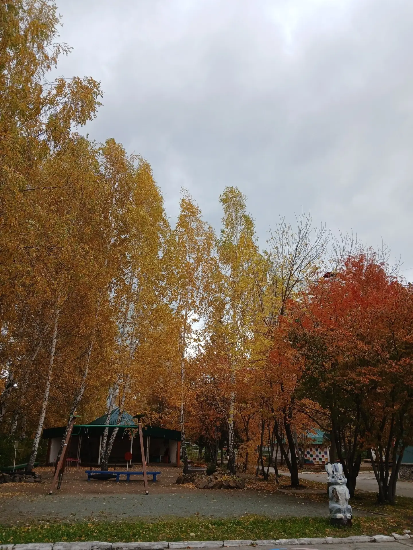 🌥️ Доброе утро, Новосибирск!