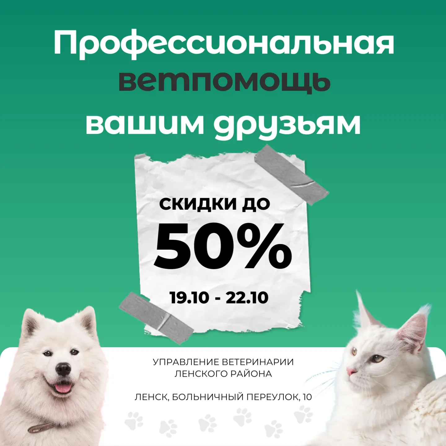 Скидки до 50% на стерилизацию и чипирование: Ленский ветеринарный пункт объявляет акцию...