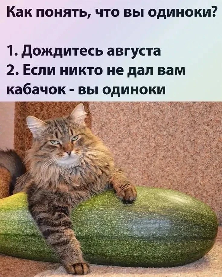 Так мы и поняли, что такое одиночество