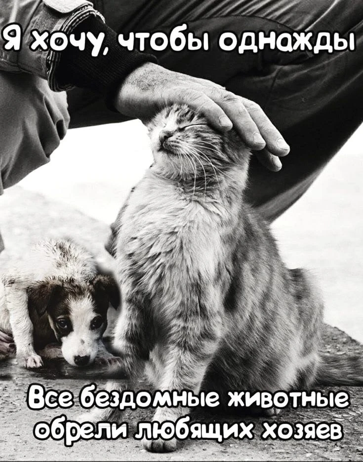 И счастье...