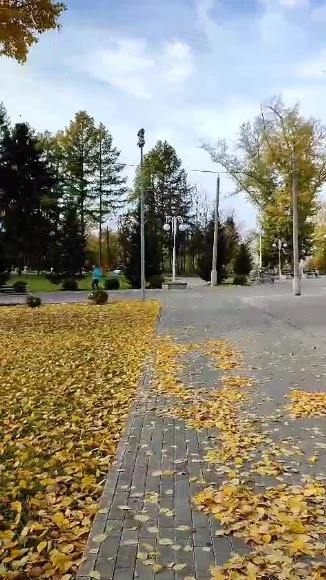 Вот и осень - и дождь в окно стучится.