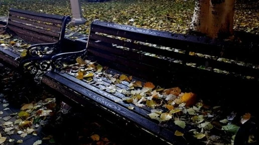 Непогода заявит о себе ливнями и ветром в 3 районах в Волгоградской области