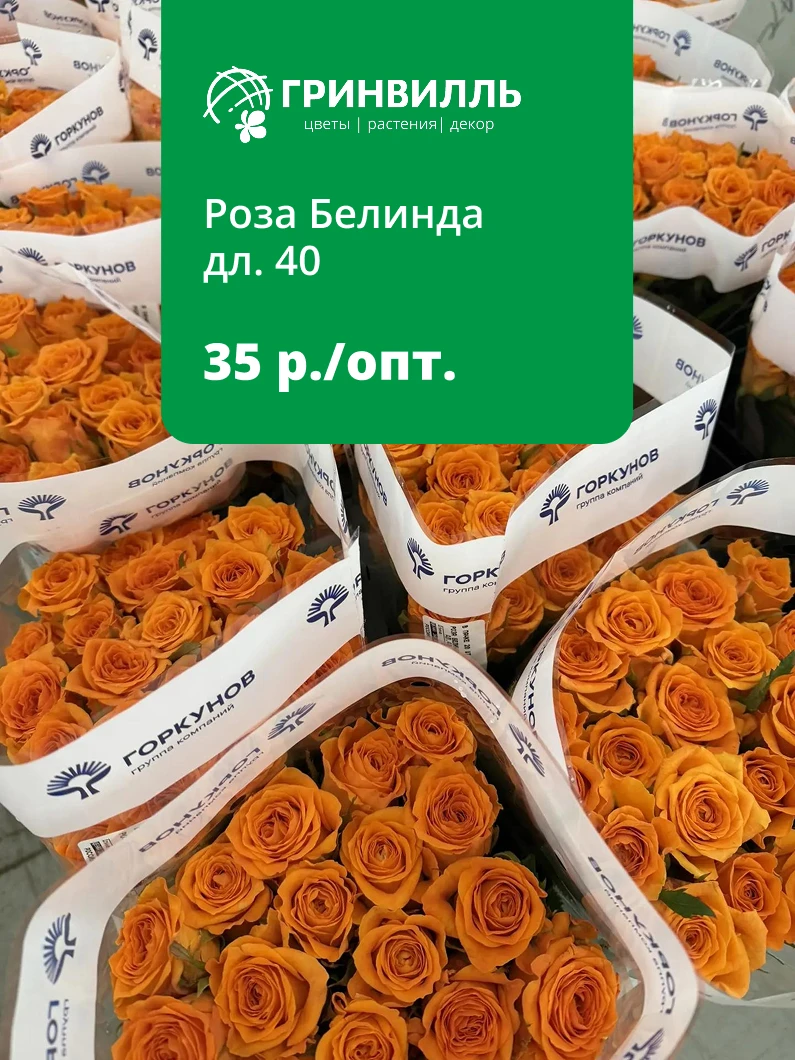 🌹🔥 СУПЕРЦЕНА НА РОЗЫ — ВСЕГО 35 ₽ ЗА ШТУКУ! 🔥🌹